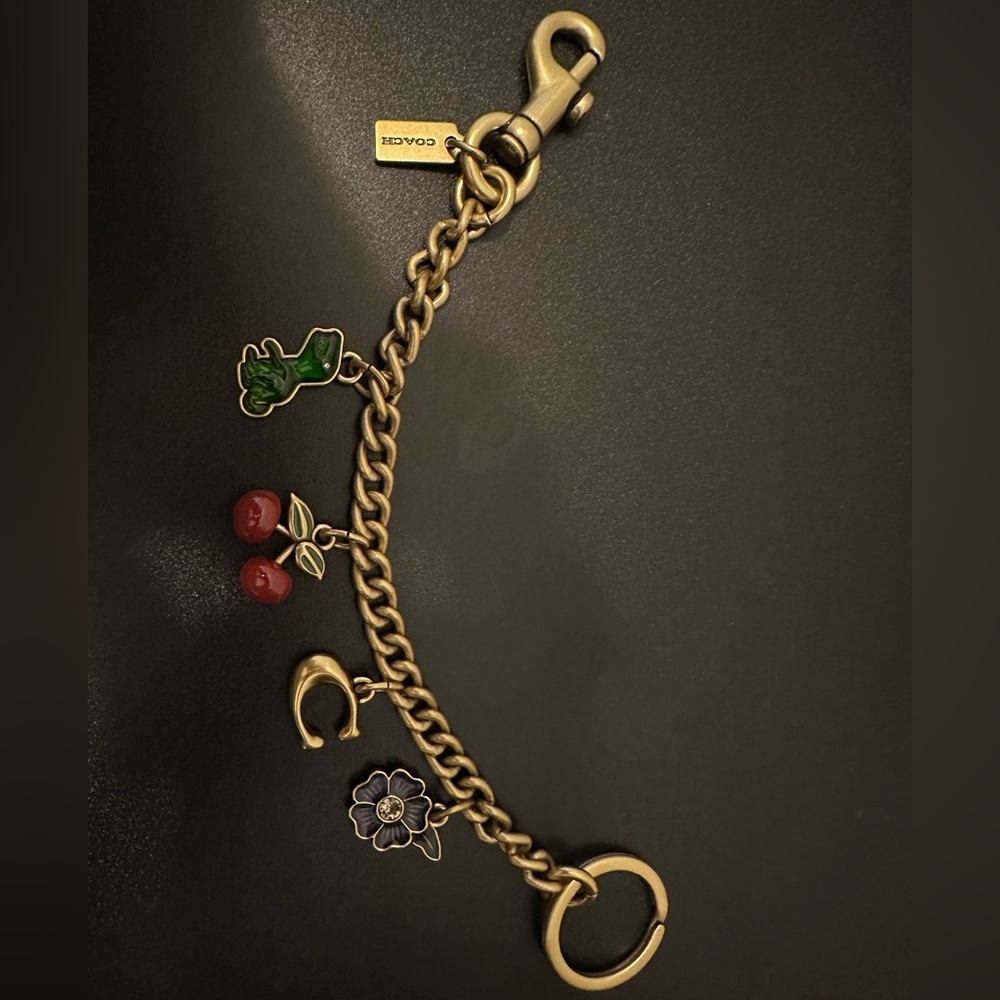 Coach Motif Chain Bag Charm